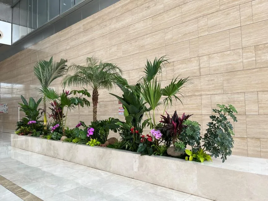 宁波北仑植物出租方案