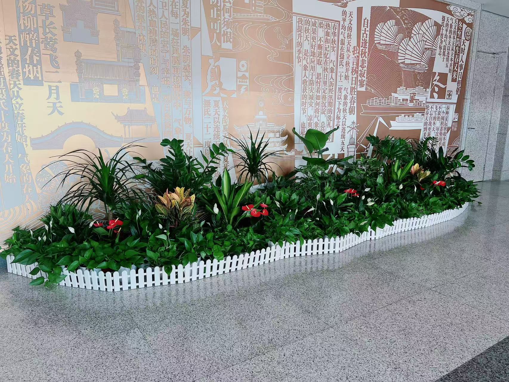 宁波杭州湾花卉租赁方案 宁波杭州湾花卉租赁方案